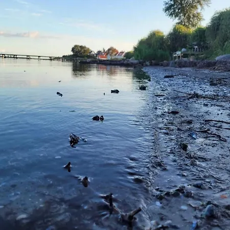 Σπίτι διακοπών Luxury Seaside Retreat In Nr Lyngby-by Traum Fåborg