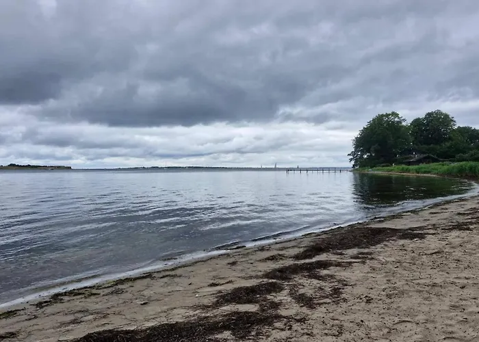 Luxury Seaside Retreat In Nr Lyngby-by Traum 別荘 *